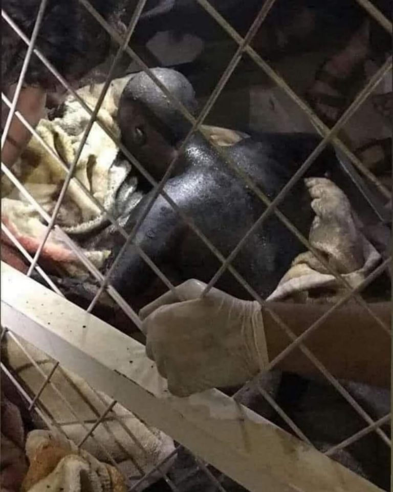 كلْا للإفلات من العِقاب  زينب الكعبي المدير الإقليمي للشرق الأوسط  –    مركز الرافدين الدولي للعدالة وحقوق الإنسان